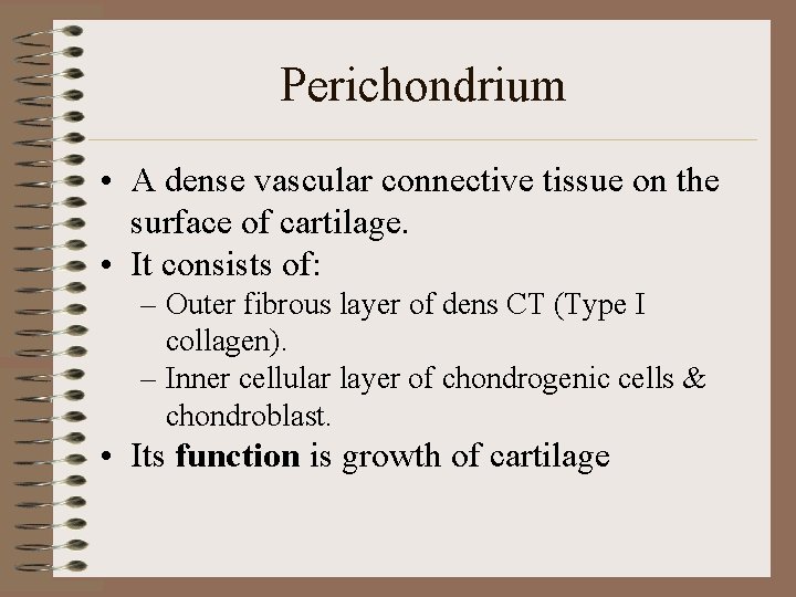 Perichondrium • A dense vascular connective tissue on the surface of cartilage. • It