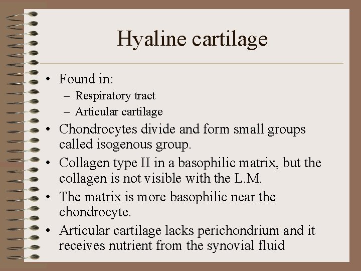 Hyaline cartilage • Found in: – Respiratory tract – Articular cartilage • Chondrocytes divide