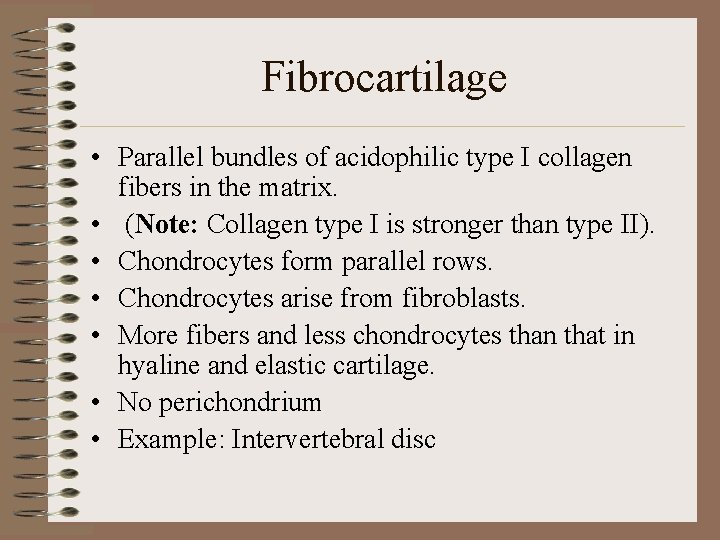 Fibrocartilage • Parallel bundles of acidophilic type I collagen fibers in the matrix. •