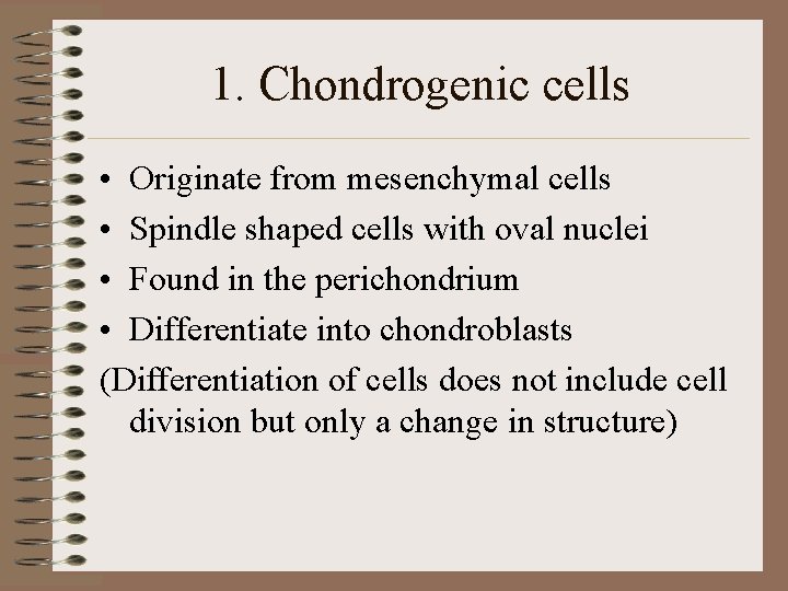 1. Chondrogenic cells • Originate from mesenchymal cells • Spindle shaped cells with oval