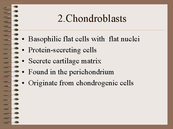 2. Chondroblasts • • • Basophilic flat cells with flat nuclei Protein-secreting cells Secrete