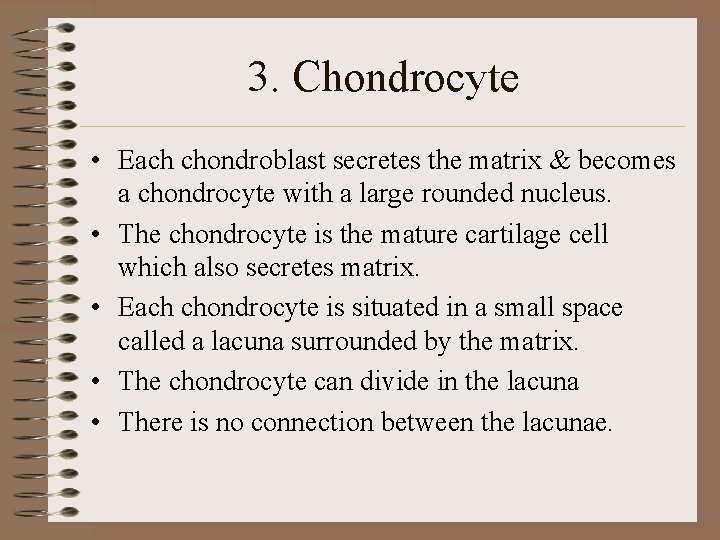 3. Chondrocyte • Each chondroblast secretes the matrix & becomes a chondrocyte with a