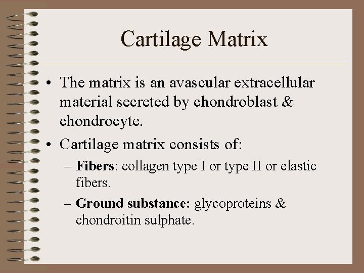Cartilage Matrix • The matrix is an avascular extracellular material secreted by chondroblast &