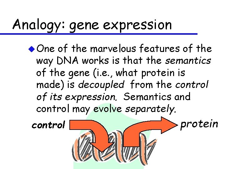 Analogy: gene expression u One of the marvelous features of the way DNA works