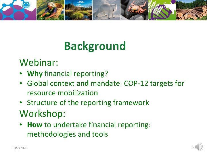 Background Webinar: • Why financial reporting? • Global context and mandate: COP-12 targets for