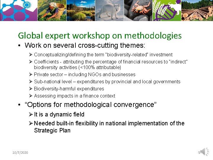 Global expert workshop on methodologies • Work on several cross-cutting themes: Ø Conceptualizing/defining the