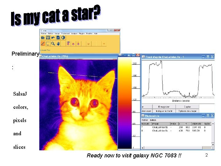 Preliminary : Salsa. J colors, pixels and slices Ready now to visit galaxy NGC