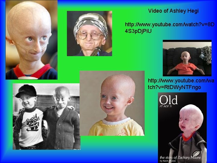 Video of Ashley Hegi http: //www. youtube. com/watch? v=8 D 4 S 3 p.