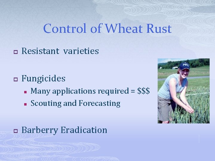 Control of Wheat Rust p Resistant varieties p Fungicides n n p Many applications
