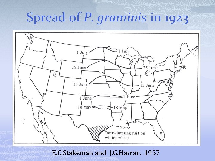Spread of P. graminis in 1923 E. C. Stakeman and J. G. Harrar. 1957