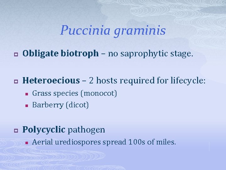 Puccinia graminis p Obligate biotroph – no saprophytic stage. p Heteroecious – 2 hosts