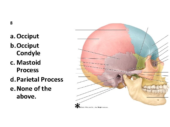 8 a. Occiput b. Occiput Condyle c. Mastoid Process d. Parietal Process e. None