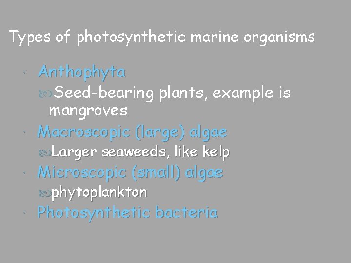 Types of photosynthetic marine organisms Anthophyta Seed-bearing plants, example is mangroves Macroscopic (large) algae