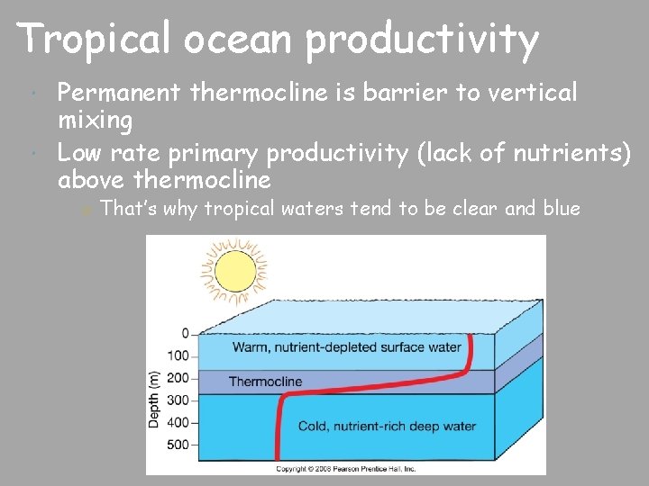 Tropical ocean productivity Permanent thermocline is barrier to vertical mixing Low rate primary productivity