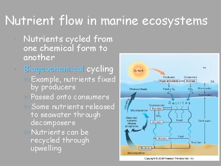 Nutrient flow in marine ecosystems Nutrients cycled from one chemical form to another Biogeochemical