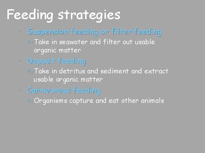 Feeding strategies Suspension feeding or filter feeding Take in seawater and filter out usable