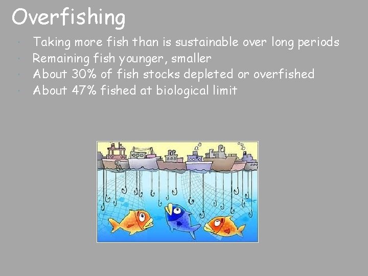 Overfishing Taking more fish than is sustainable over long periods Remaining fish younger, smaller