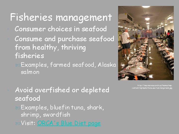 Fisheries management Consumer choices in seafood Consume and purchase seafood from healthy, thriving fisheries