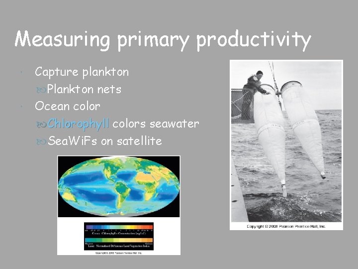 Measuring primary productivity Capture plankton Plankton nets Ocean color Chlorophyll colors seawater Sea. Wi.