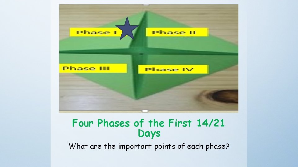 Four Phases of the First 14/21 Days What are the important points of each