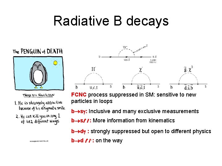 Radiative B decays FCNC process suppressed in SM: sensitive to new particles in loops