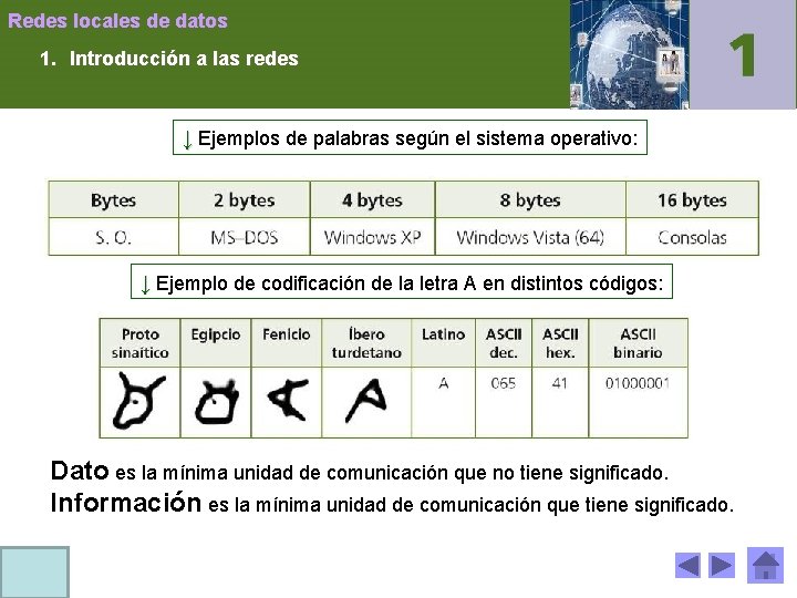 Redes locales de datos 1. Introducción a las redes ↓ Ejemplos de palabras según