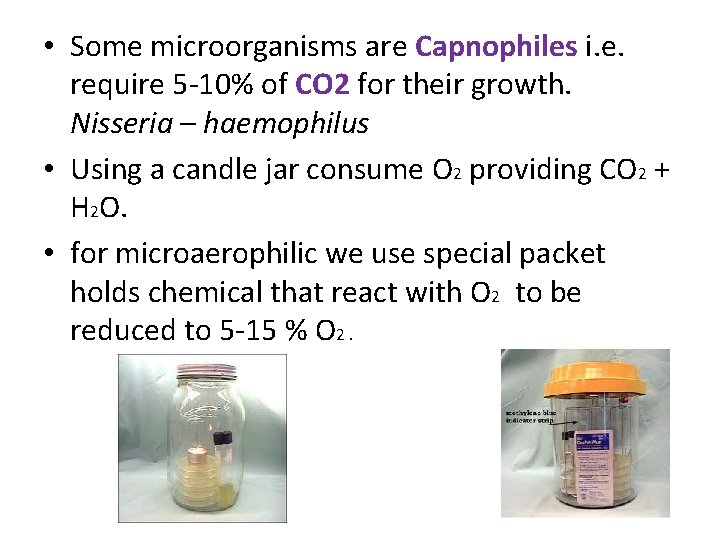  • Some microorganisms are Capnophiles i. e. require 5 -10% of CO 2