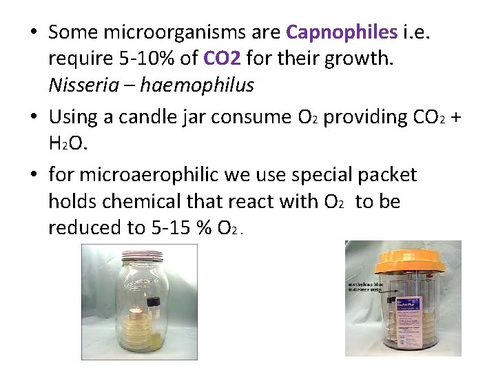 • Some microorganisms are Capnophiles i. e. require 5 -10% of CO 2 • Some microorganisms are Capnophiles i. e. require 5 -10% of CO 2