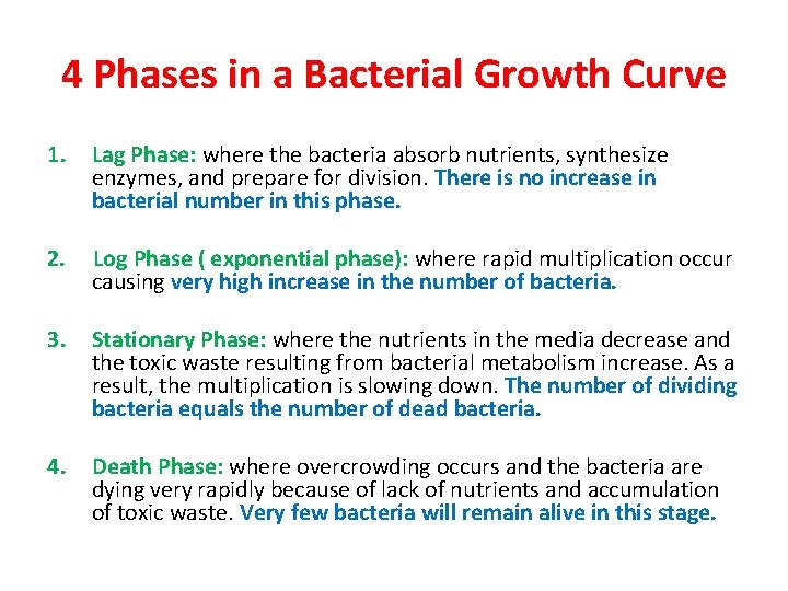 4 Phases in a Bacterial Growth Curve 1. Lag Phase: where the bacteria absorb