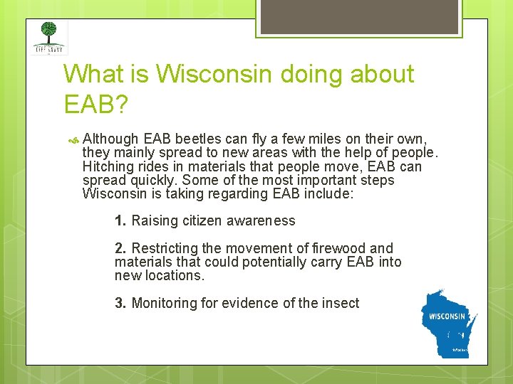 What is Wisconsin doing about EAB? Although EAB beetles can fly a few miles