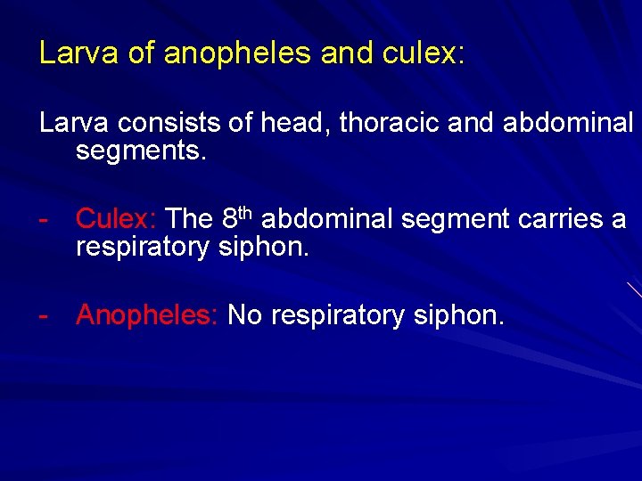 Larva of anopheles and culex: Larva consists of head, thoracic and abdominal segments. -