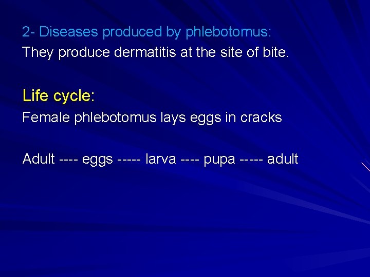 2 - Diseases produced by phlebotomus: They produce dermatitis at the site of bite.