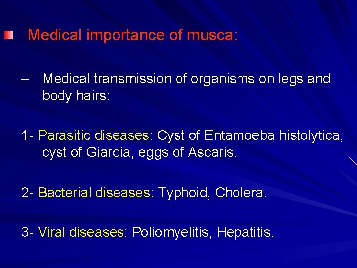 Medical importance of musca: – Medical transmission of organisms on legs and body hairs: