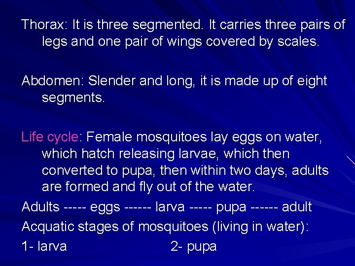 Thorax: It is three segmented. It carries three pairs of legs and one pair