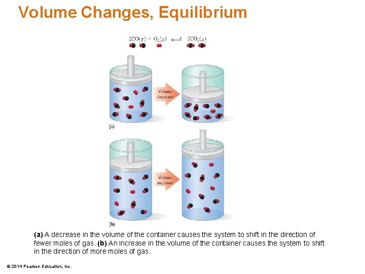 Volume Changes, Equilibrium (a) A decrease in the volume of the container causes the