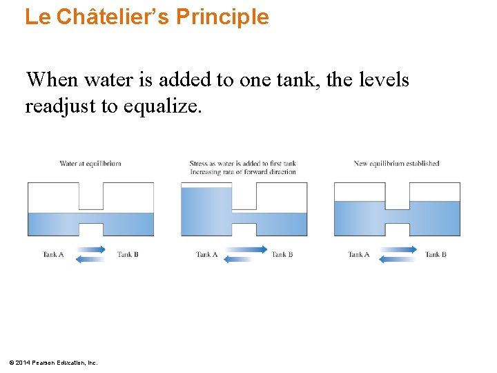 Le Châtelier’s Principle When water is added to one tank, the levels readjust to