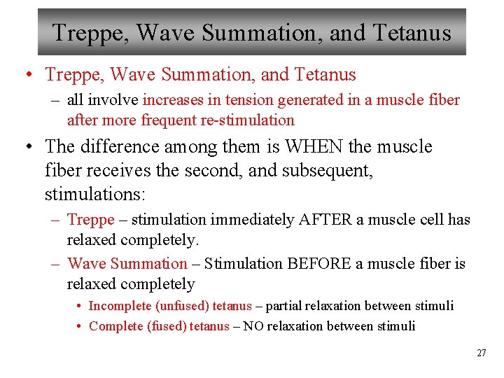 Treppe, Wave Summation, and Tetanus • Treppe, Wave Summation, and Tetanus – all involve