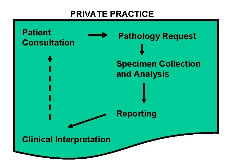 PRIVATE PRACTICE Patient Consultation Pathology Request Specimen Collection and Analysis Reporting Clinical Interpretation 