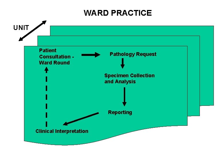 WARD PRACTICE UNIT Patient Consultation Ward Round Pathology Request Specimen Collection and Analysis Reporting