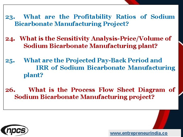 23. What are the Profitability Ratios of Sodium Bicarbonate Manufacturing Project? 24. What is