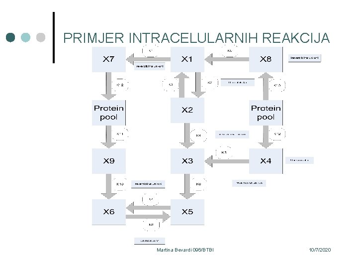 PRIMJER INTRACELULARNIH REAKCIJA Martina Bevardi 096/BTBI 10/7/2020 