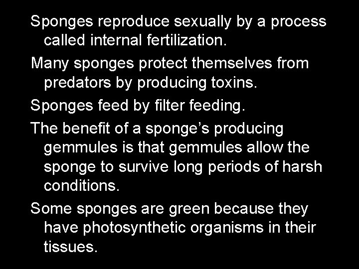 Sponges reproduce sexually by a process called internal fertilization. Many sponges protect themselves from