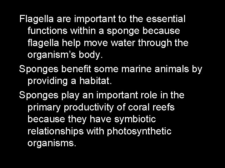 Flagella are important to the essential functions within a sponge because flagella help move