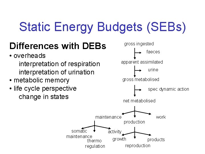 Static Energy Budgets (SEBs) Differences with DEBs • overheads interpretation of respiration interpretation of