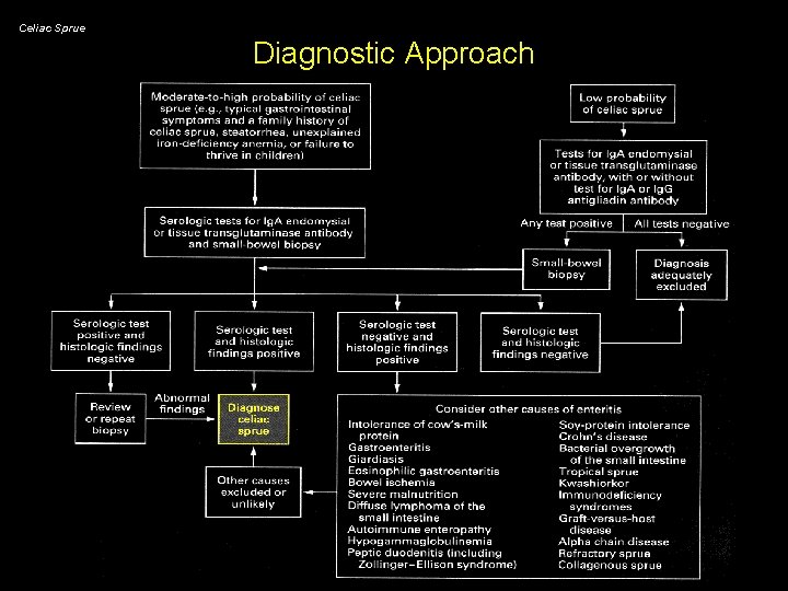 Celiac Sprue Diagnostic Approach 