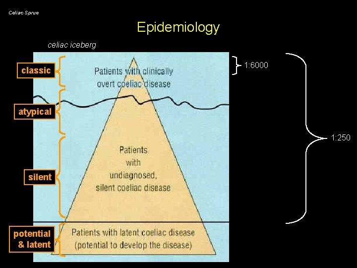 Celiac Sprue Epidemiology celiac iceberg classic 1: 6000 atypical 1: 250 silent potential &