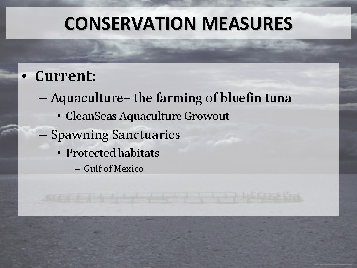 CONSERVATION MEASURES • Current: – Aquaculture– the farming of bluefin tuna • Clean. Seas