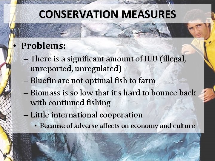 CONSERVATION MEASURES • Problems: – There is a significant amount of IUU (illegal, unreported,