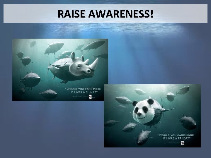 RAISE AWARENESS! 