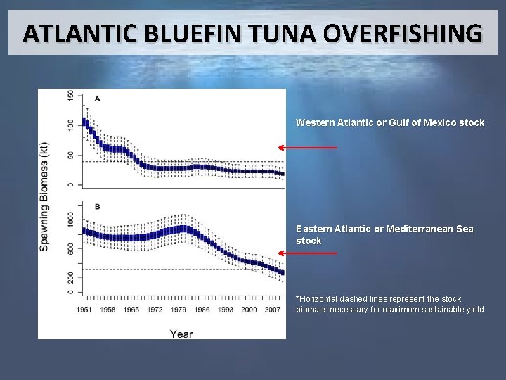 ATLANTIC BLUEFIN TUNA OVERFISHING Western Atlantic or Gulf of Mexico stock Eastern Atlantic or